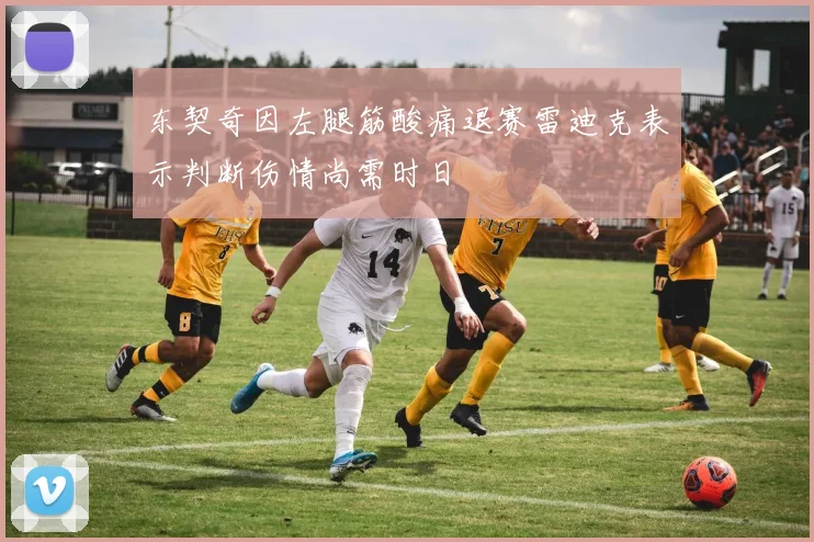 东契奇因左腿筋酸痛退赛雷迪克表示判断伤情尚需时日