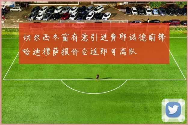 切尔西冬窗有意引进费耶诺德前锋哈迪穆萨报价合适即可离队