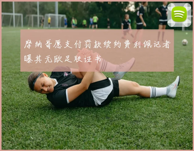 摩纳哥愿支付罚款续约费利佩记者曝其无欧足联证书